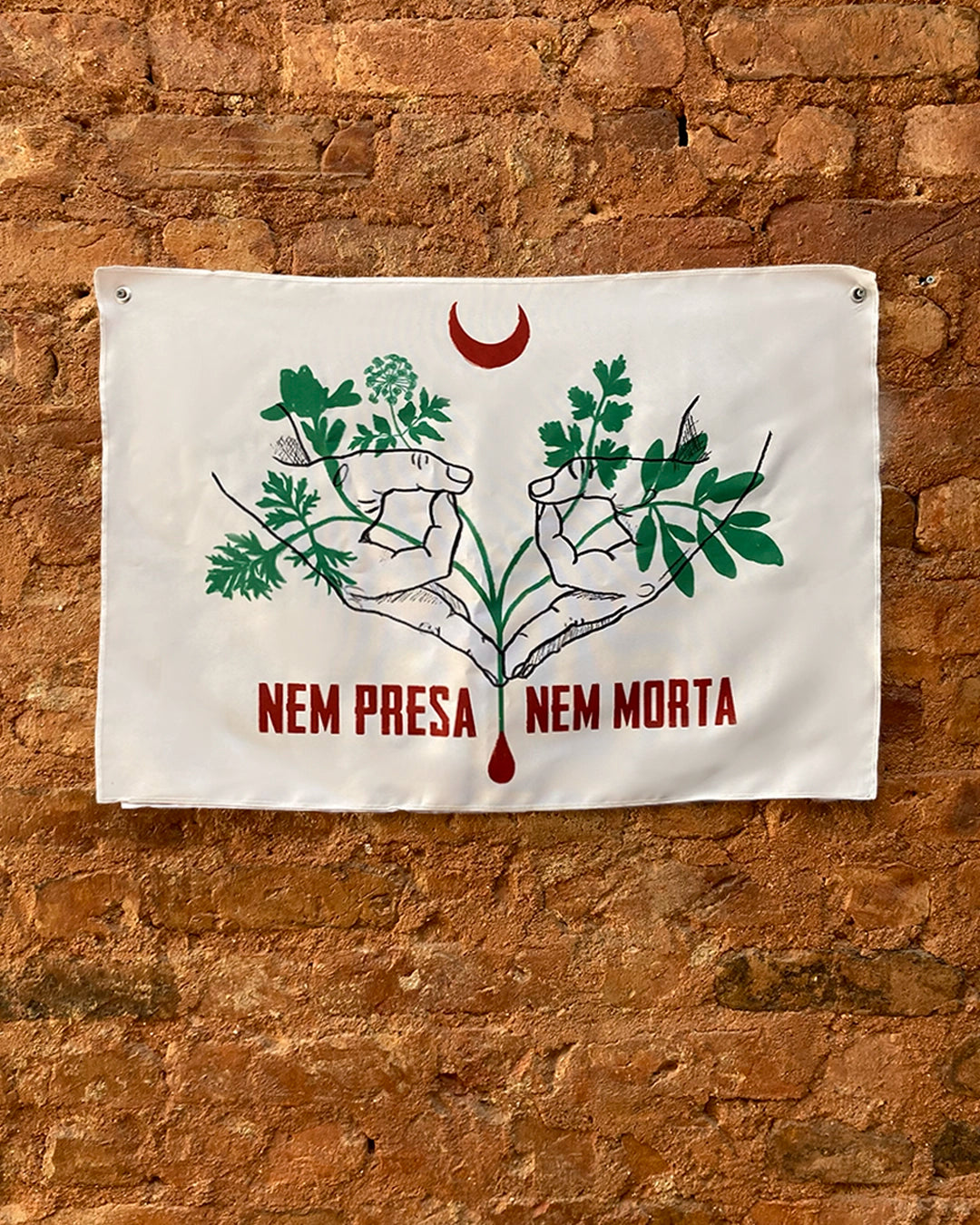 Bandeira Nem Presa Nem Morta
