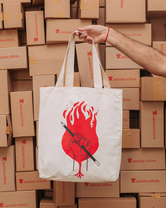 Bolsa Luta pela Educação