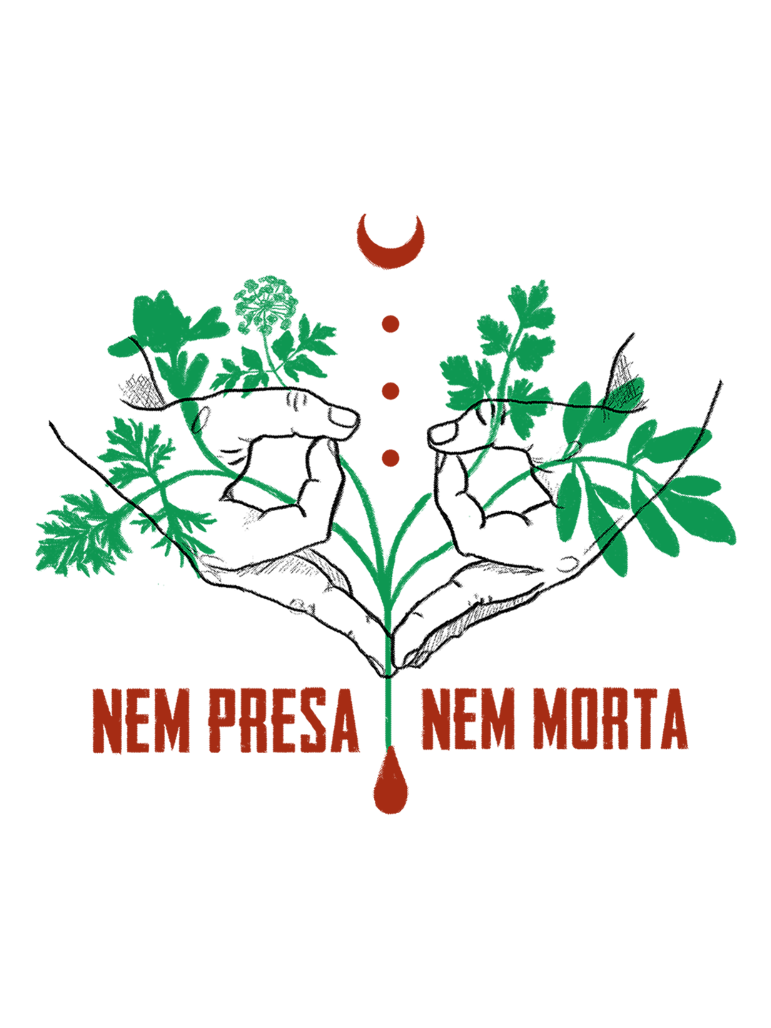 Bandeira Nem Presa Nem Morta