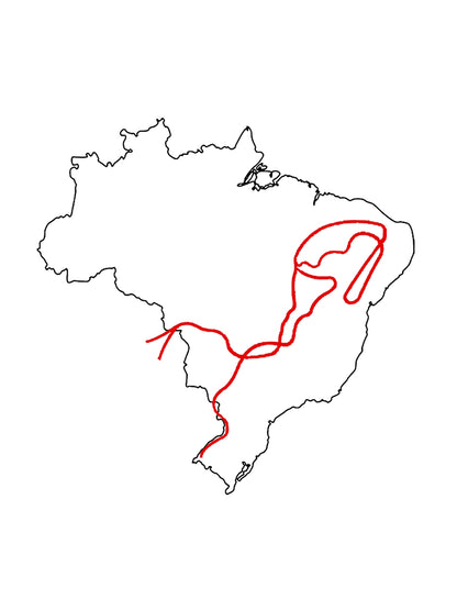 Camiseta Básica A Coluna Prestes