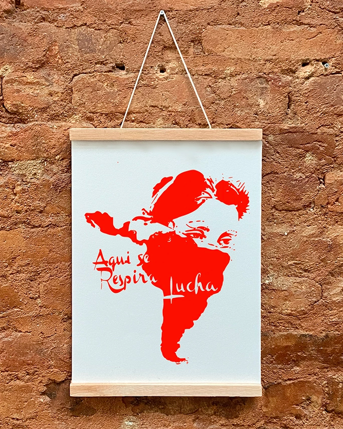 Pôster Lucha